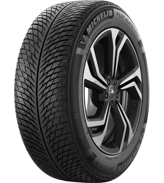 Michelin Pilot Alpin 5 SUV 265/55 R19 113 H XL