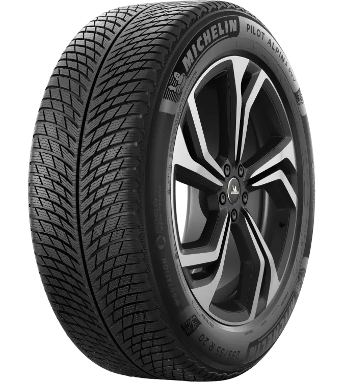 Michelin Pilot Alpin 5 SUV 255/55 R20 110 V XL