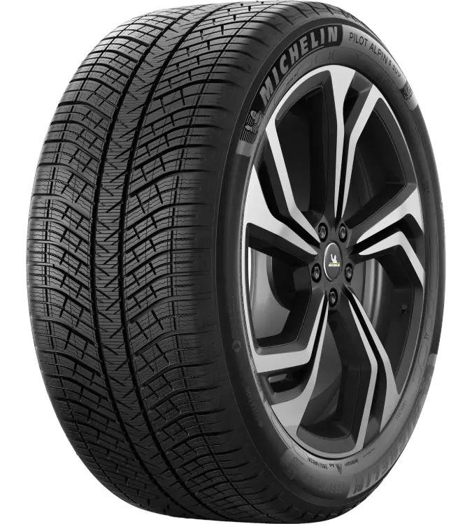 Michelin Pilot Alpin 5 SUV 295/40 R20 110 V XL, MO1A