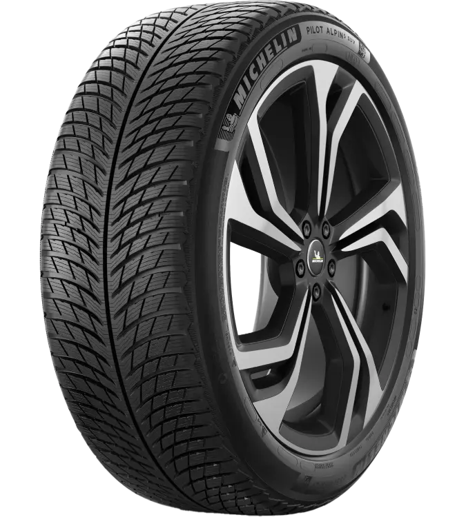 Michelin Pilot Alpin 5 SUV 255/45 R21 106 V XL, NE0
