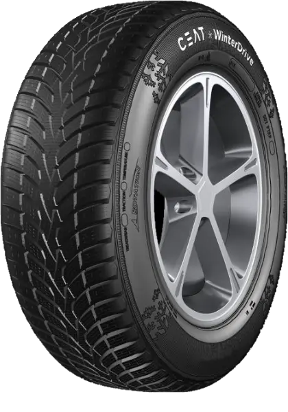 Ceat WinterDrive
