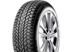 GitiWinter W1225/65R17