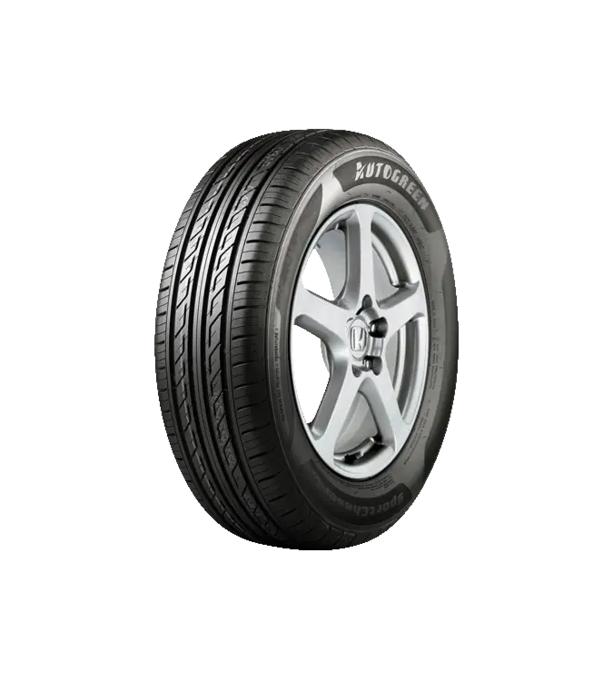 Autogreen SportChaser SC2 205/55 R16 91 W