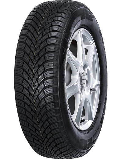 Nexen Winguard SnowG 3 WH21 205/55 R16 91 H