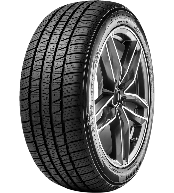 Radar Dimax Winter Sport 205/50 R17 93 V XL