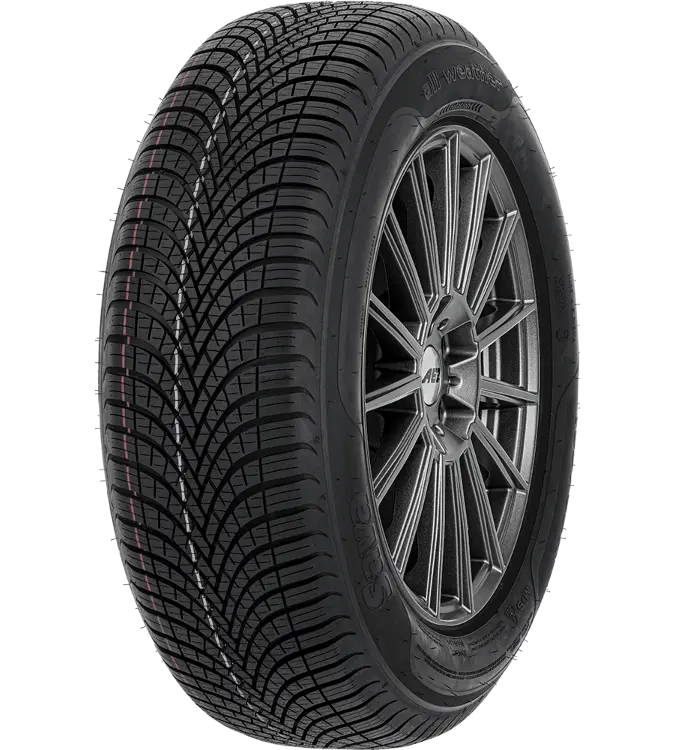 Sava All Weather 225/50 R17 98 V XL, FP