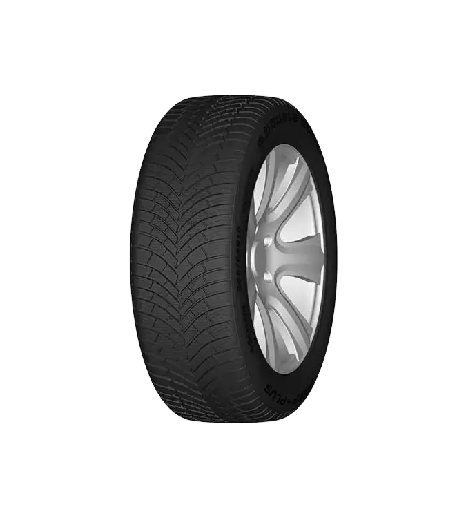 Double Coin DASP+ 195/65 R15 91 H