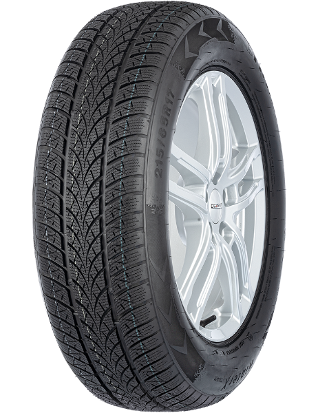 Triangle Winter X TW401 225/55 R17 101 V XL