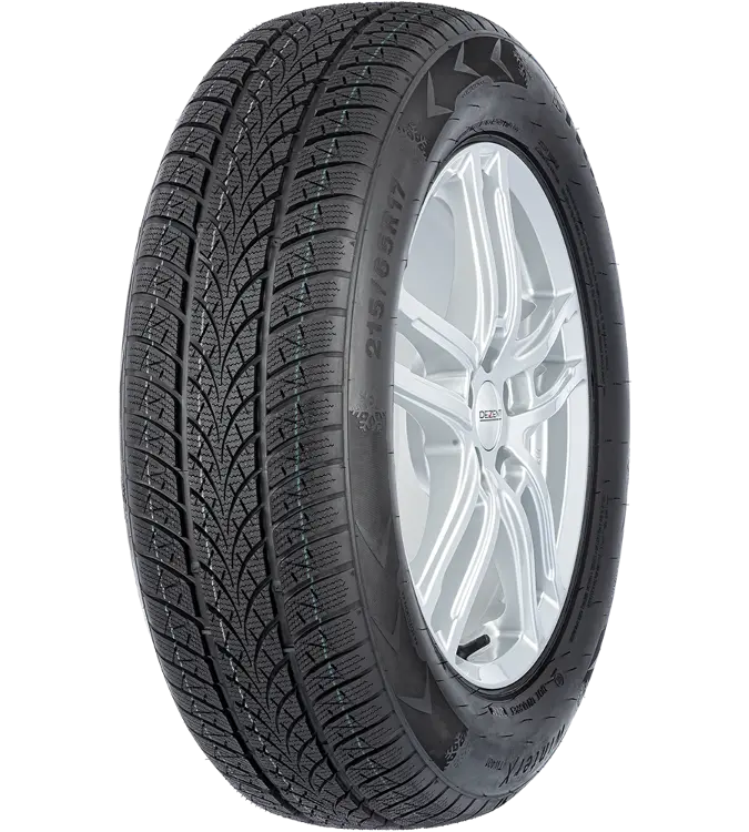 Triangle Winter X TW401 225/60 R16 102 V XL