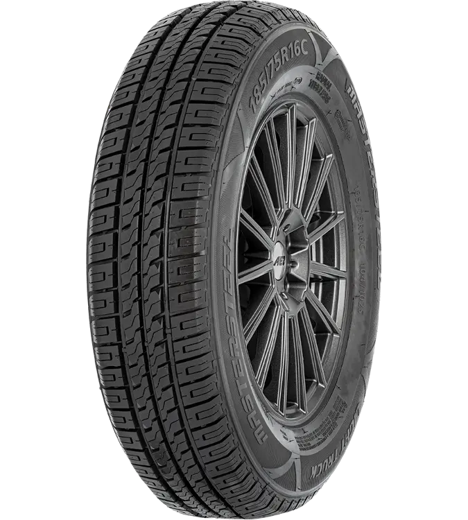 Mastersteel LIGHT TRUCK 195/65 R16 104/102 T C