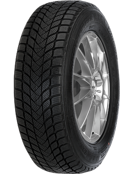 Mastersteel WINTER + W1 215/60 R16 99 H
