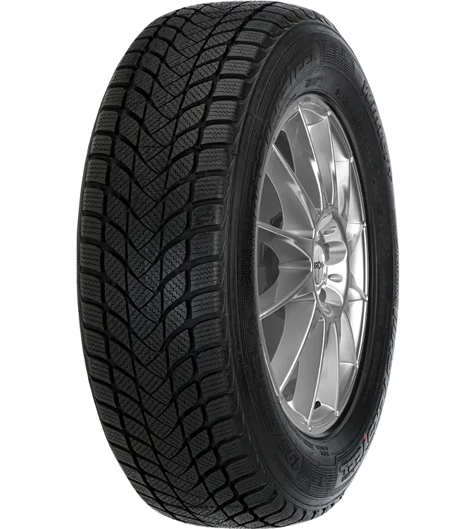Mastersteel WINTER + W1 215/55 R16 97 H