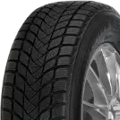 Mastersteel WINTER + W1 215/55 R16 97 H - Miniatura 3