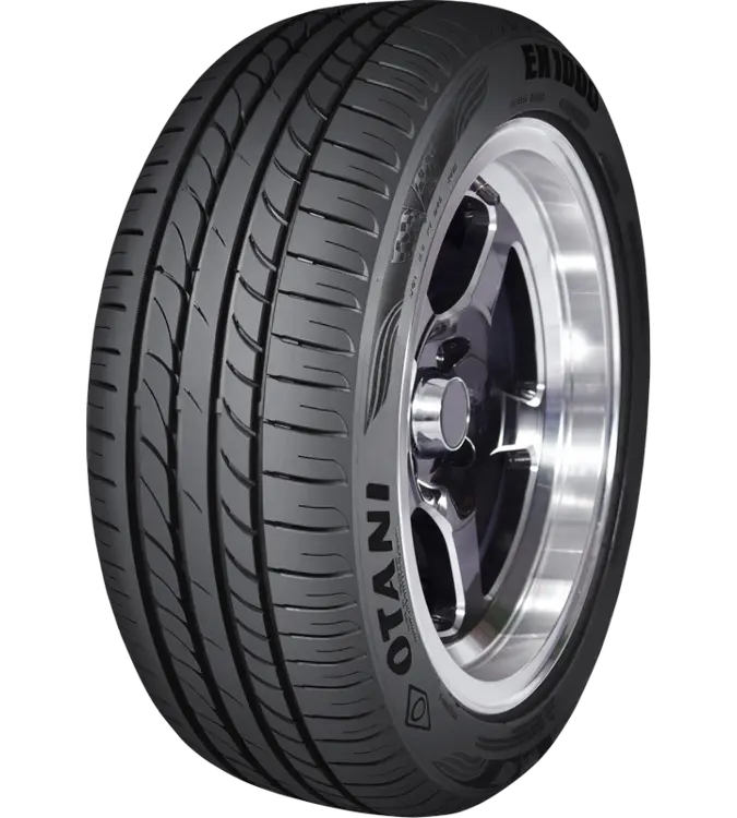 Otani EK1000 225/60 R18 100 H