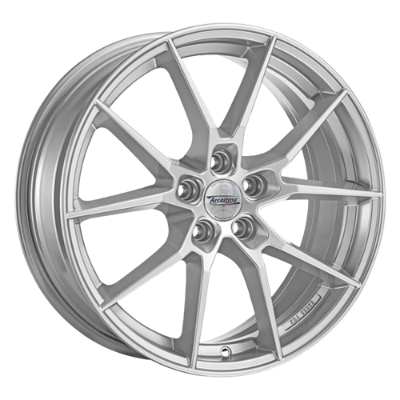 ARCASTING ARY Silver 9,00x19 5x112,00 ET32,00