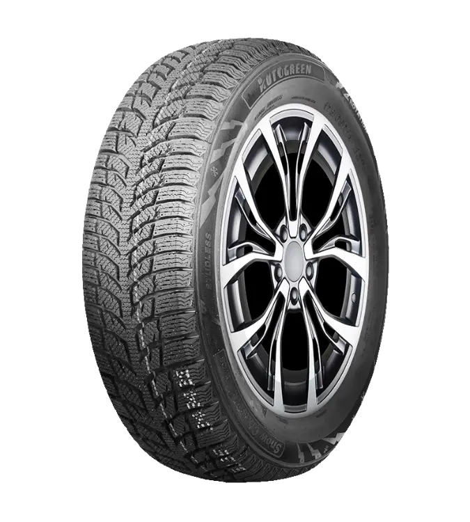 Autogreen Snow Chaser 2 AW08 205/55 R16 91 H