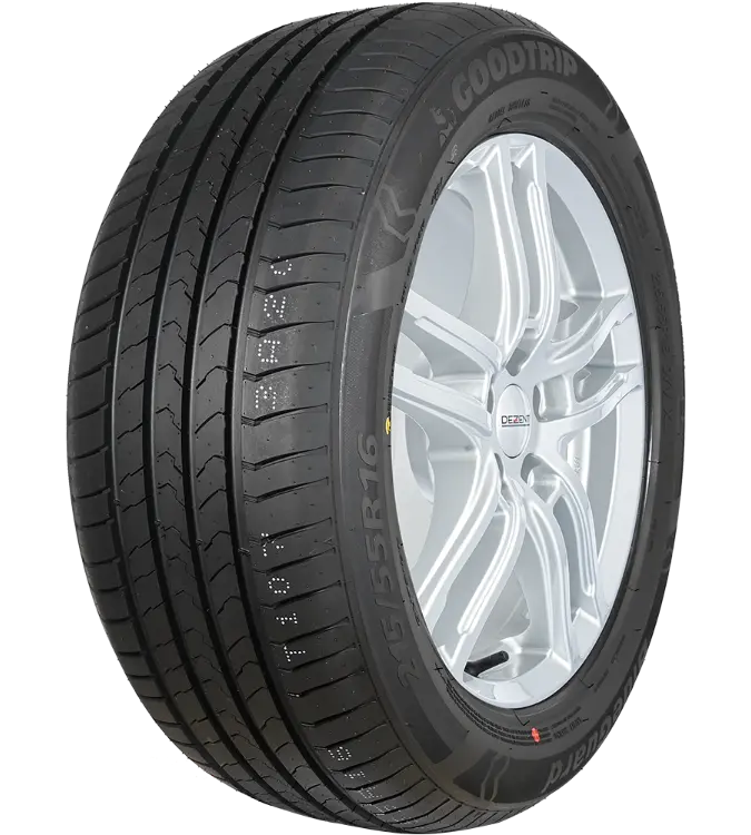 Goodtrip BlueGuard 205/55 R16 91 H