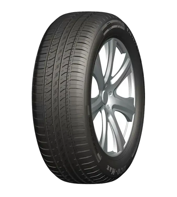 Double Coin DCO-Max 205/55 R16 91 V