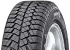 Point SWinterstar195/65R15