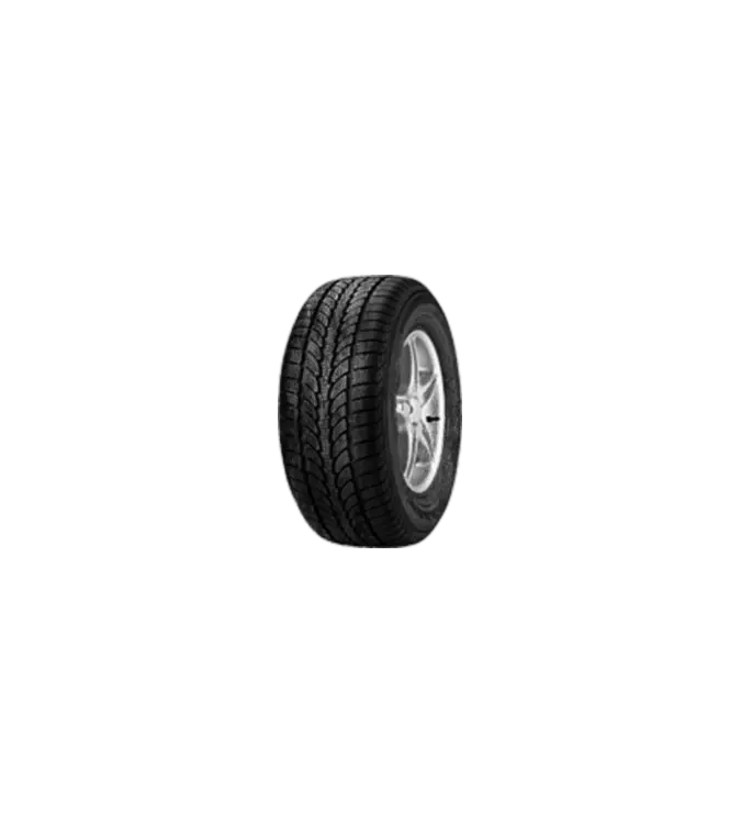EcoWinter SUV