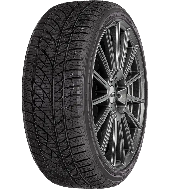 Evergreen EW66 225/45 R17 91 H XL