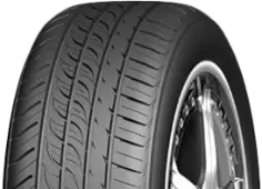 AutogripP308205/55R16
