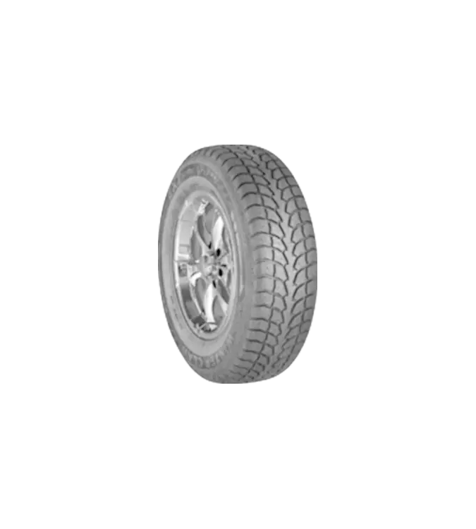 Winter Claw Extreme MX