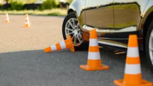 Czym jest test łosia?