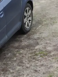 Zdjęcie dodane do opinii przez Elkoto
