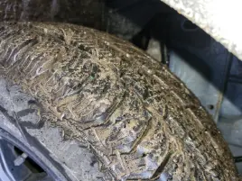 Zdjęcie dodane do opinii przez Ford transit trail