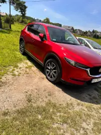 Zdjęcie dodane do opinii przez Patryk