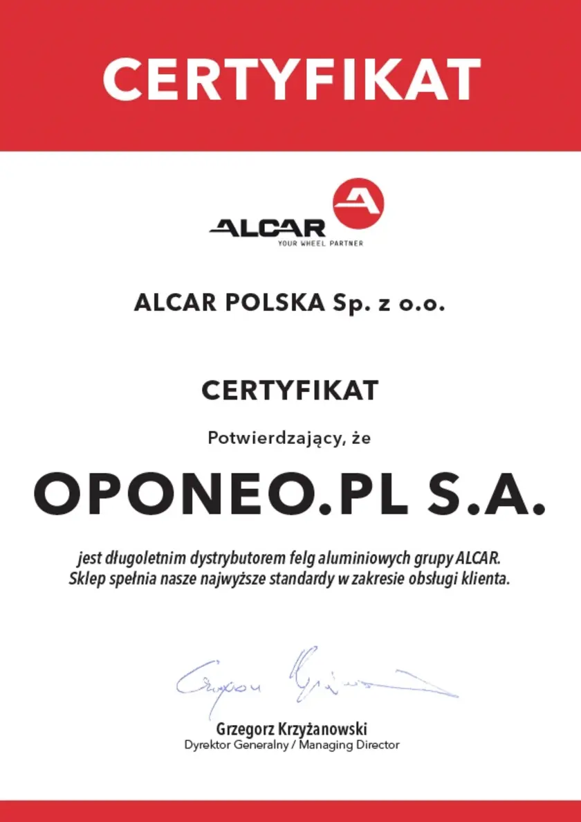 Certyfikat dla marki DOTZ