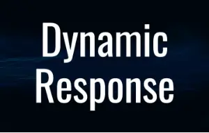 Dynamic Response