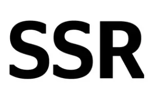 Self Supporting Runflat (SSR)