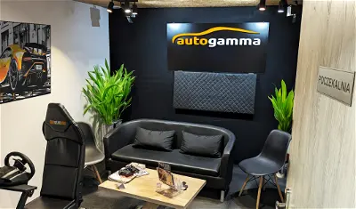 Auto Gamma