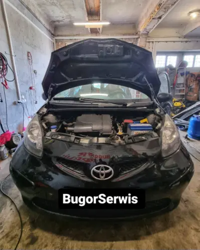 Bugor Serwis