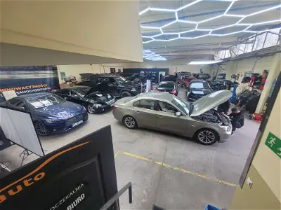 Auto-Gamma