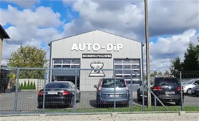 Auto-Dip