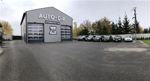 Auto-Dip