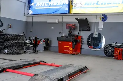 Euromaster Bednarscy